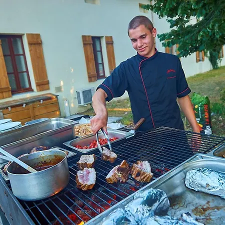 Chateau De ساليس